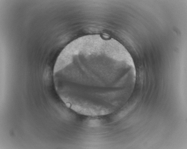 X0000114390228200911271504