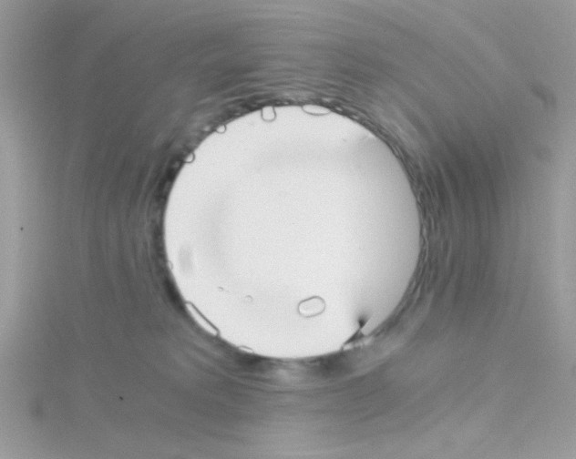 X0000114390229200911271504