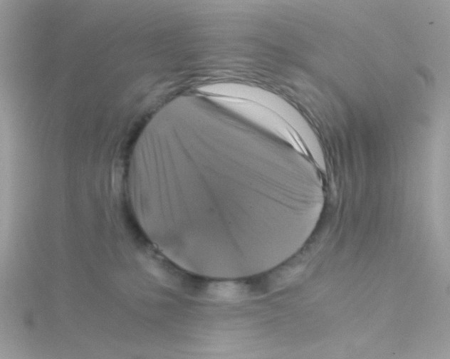 X0000114390231200911271504
