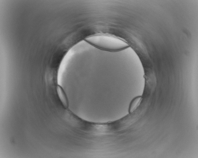 X0000114390233200911271504