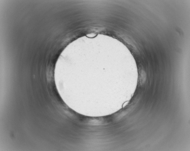 X0000114390236200911271504