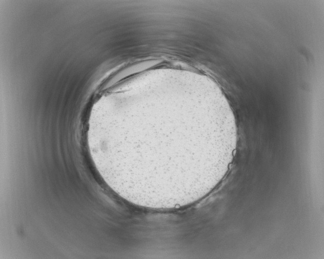 X0000114390242200911271503