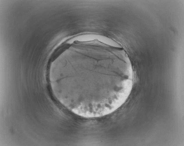 X0000114390243200911271503