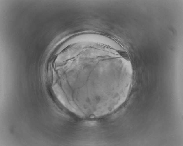 X0000114390247200911271504