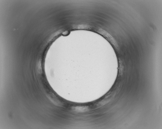 X0000114390251200911271504