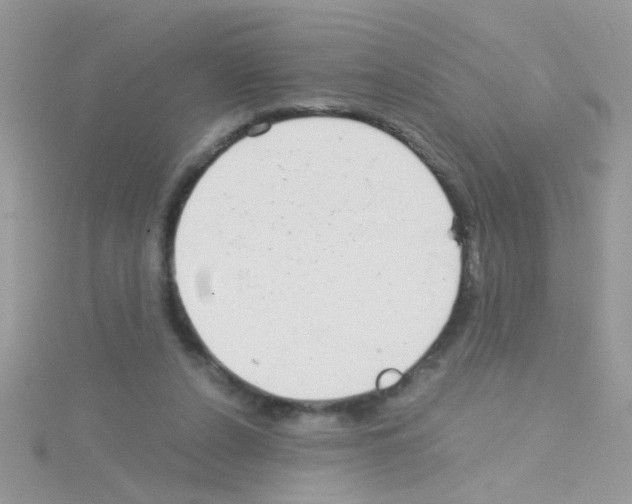 X0000114390256200911271504