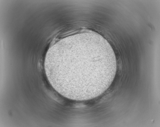 X0000114390262200911271504