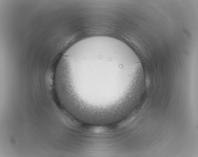 X0000114390264200911271504