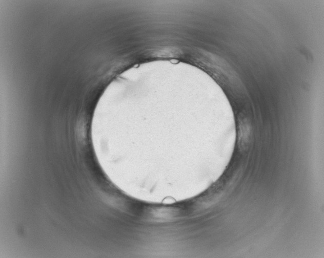 X0000114390268200911271504