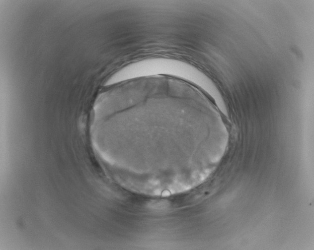 X0000114390271200911271504