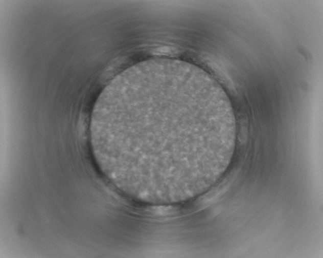 X0000114390273200911271504