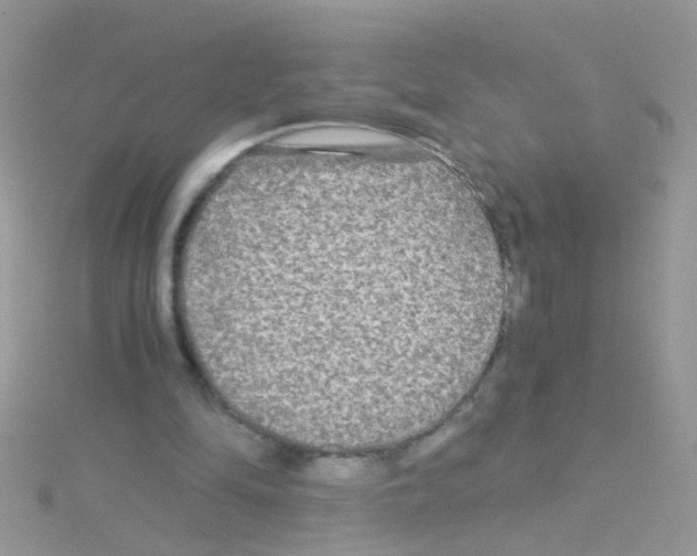 X0000114390294200911271503