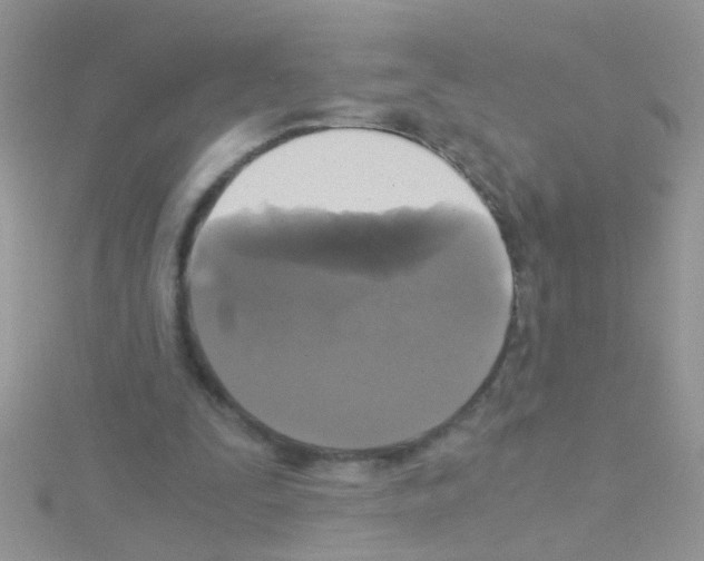 X0000114390295200911271503