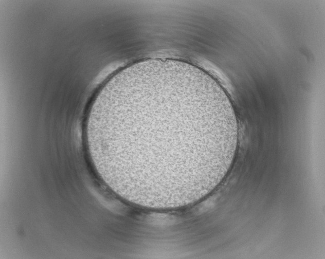 X0000114390298200911271503