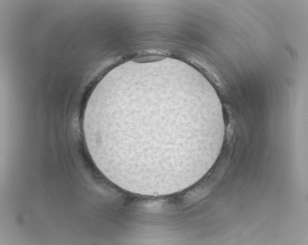 X0000114390306200911271503