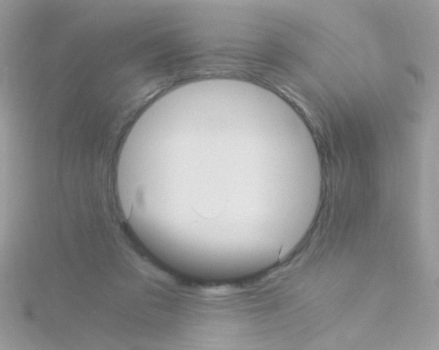 X0000114390309200911271503