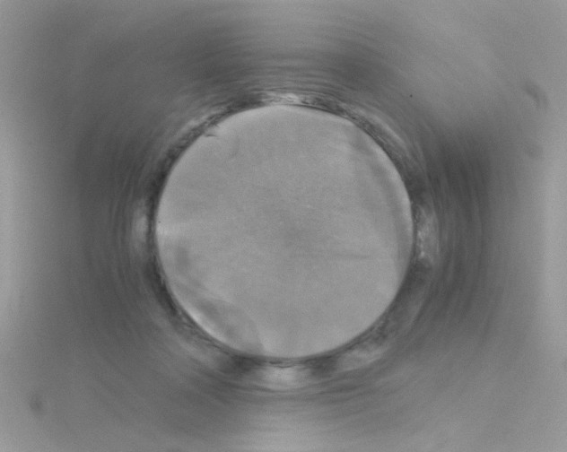 X0000114390314200911271503