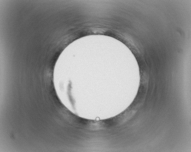 X0000114390321200911271503