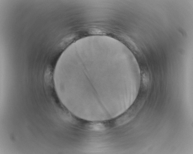 X0000114390322200911271503
