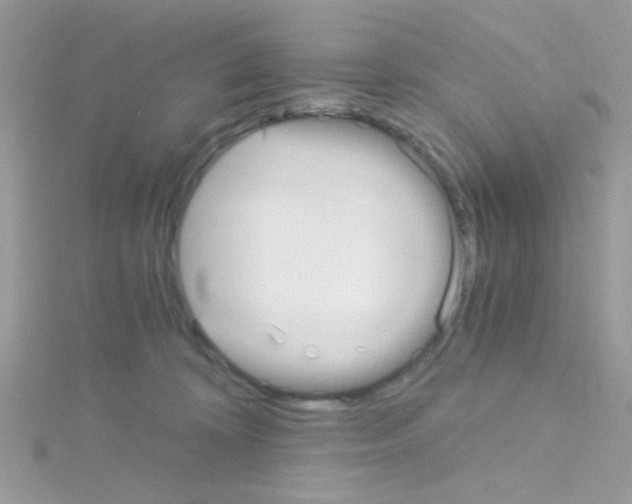 X0000114390324200911271503