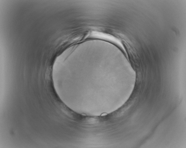 X0000114390325200911271503