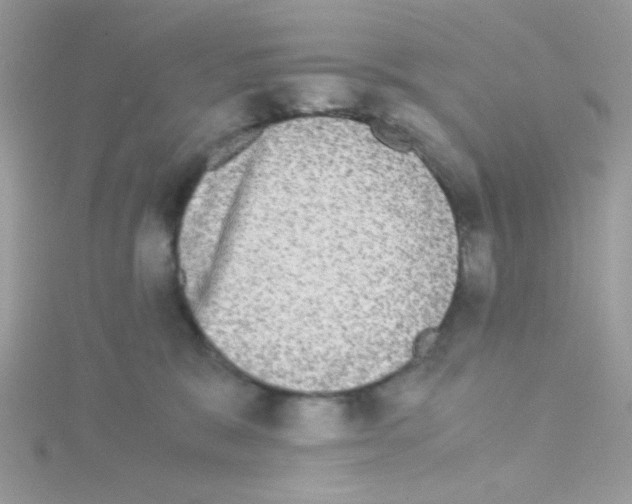 X0000114390327200911271503