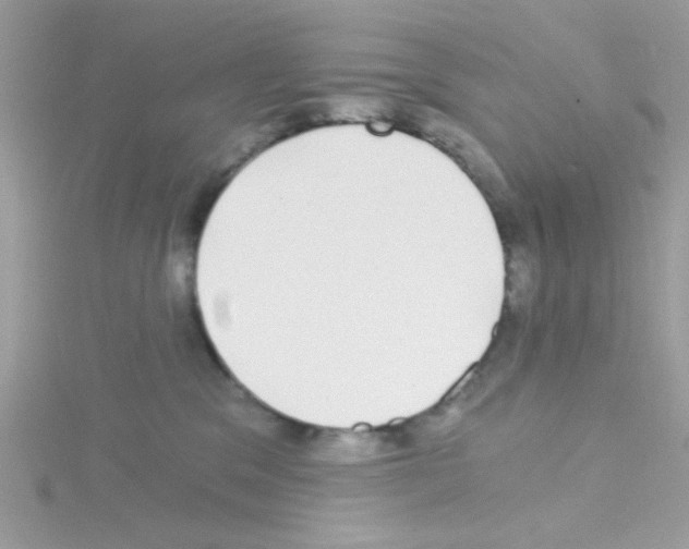 X0000114390329200911271503