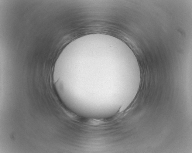 X0000114390333200911271503