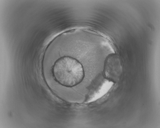 X0000114390337200911271502