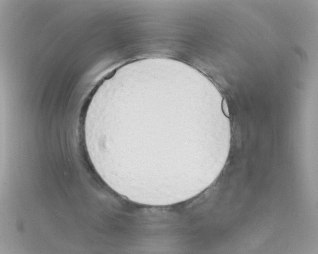 X0000114390338200911271502