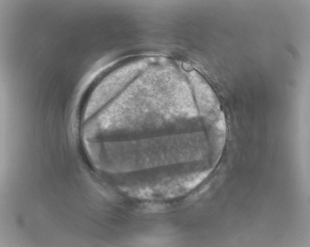 X0000114390343200911271502