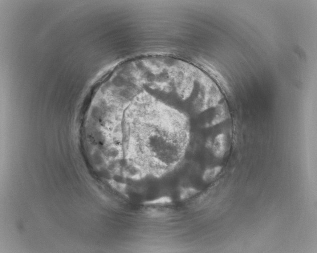 X0000114390346200911271502