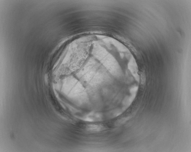 X0000114390347200911271502