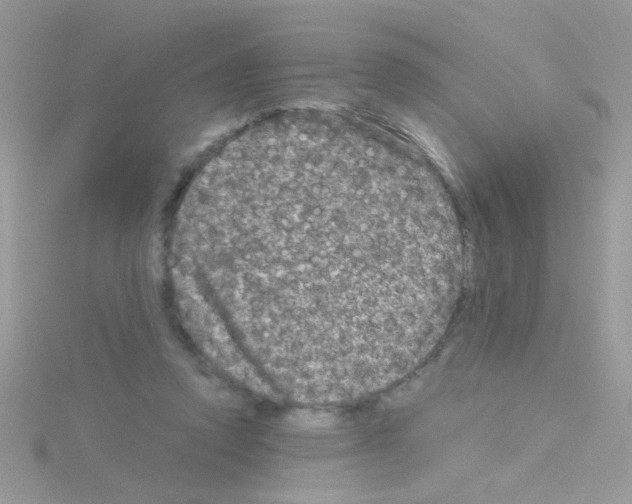 X0000114390354200911271503