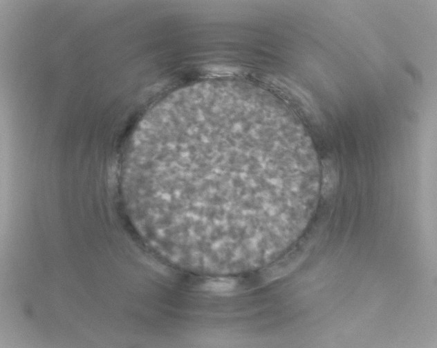 X0000114390369200911271503