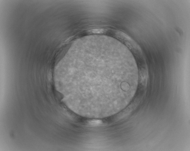 X0000114390374200911271503