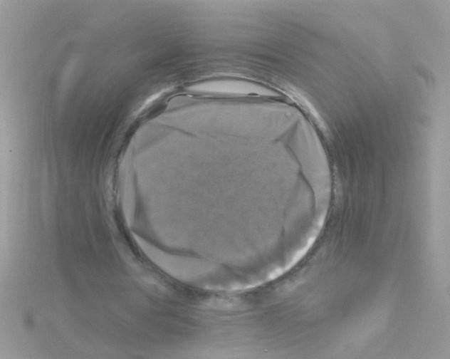 X0000114390386200911271502