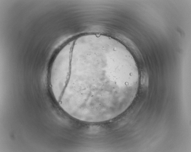 X0000114390388200911271502