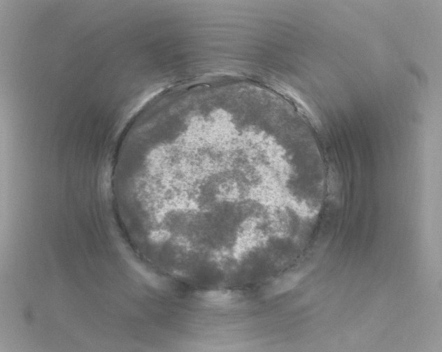 X0000114390394200911271502