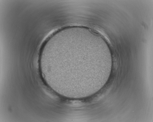 X0000114390395200911271502