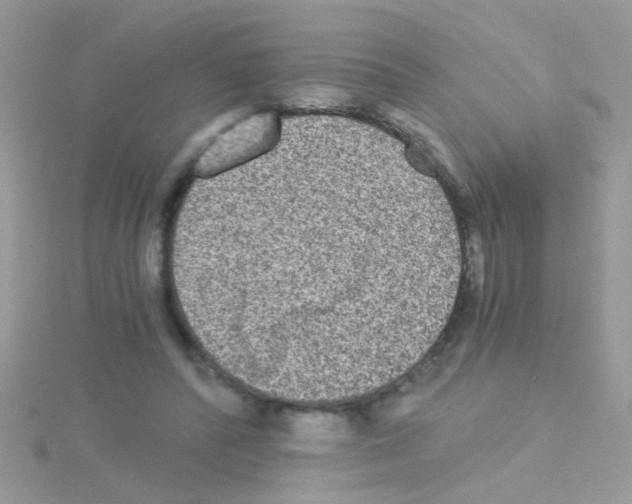 X0000114390400200911271502