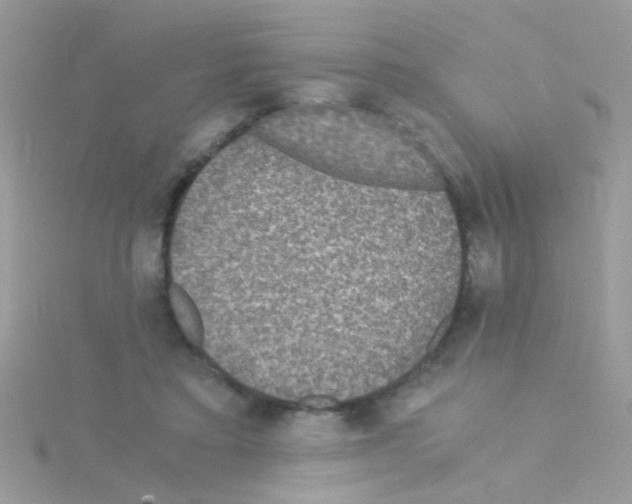 X0000114390403200911271502