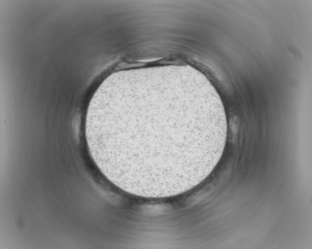 X0000114390404200911271502