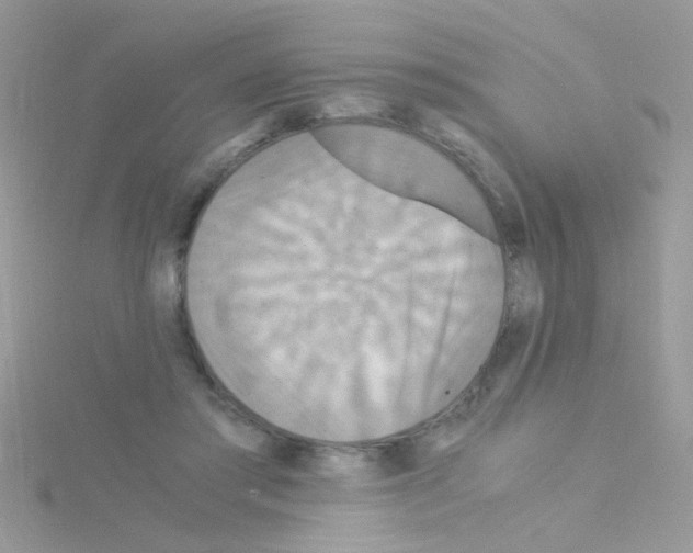 X0000114390405200911271502