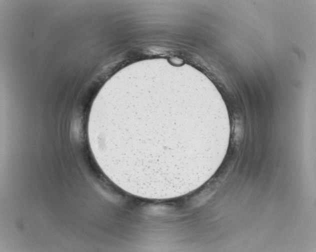 X0000114390408200911271502