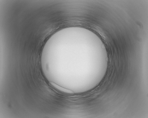 X0000114390411200911271502