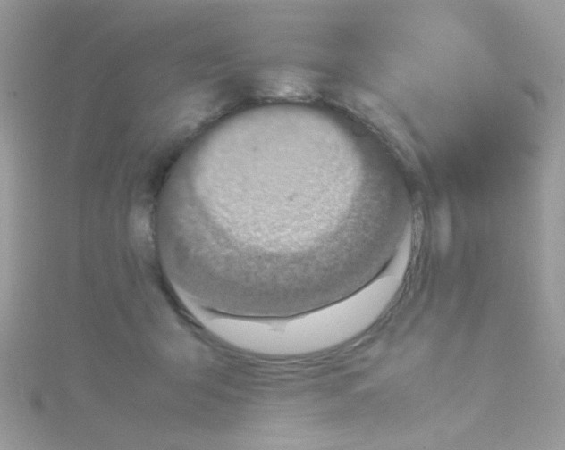 X0000114390415200911271502