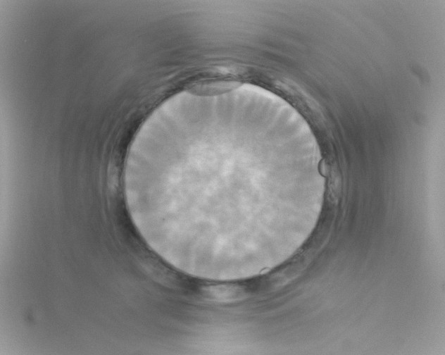 X0000114390417200911271502