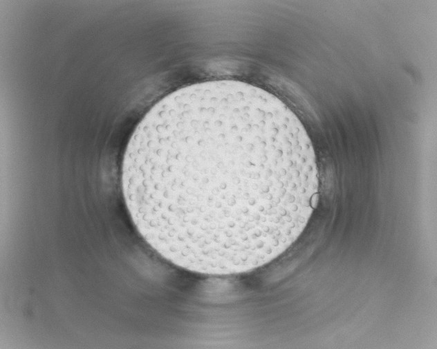 X0000114390418200911271502