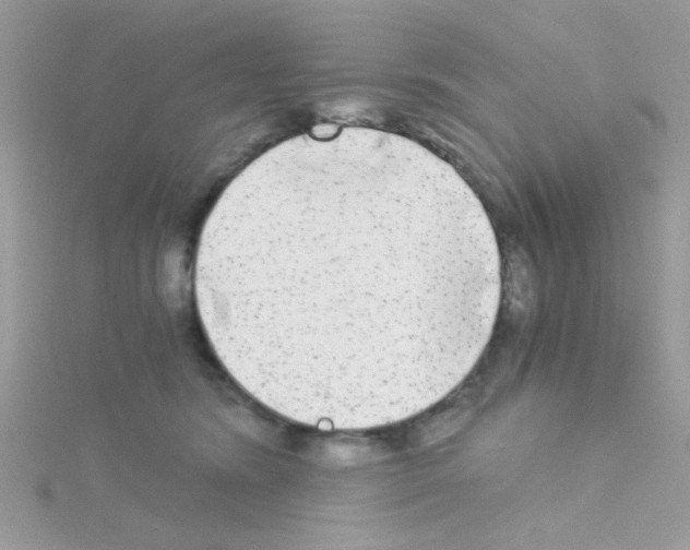 X0000114390420200911271502